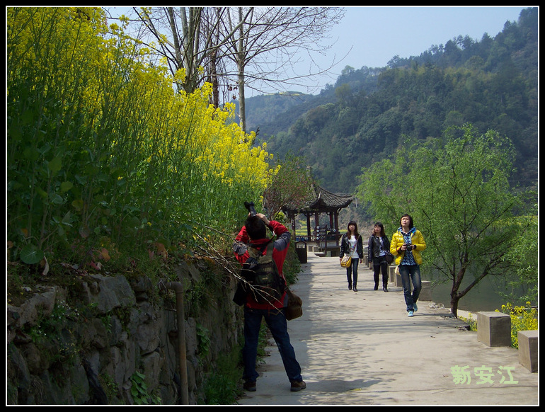 20110404h̶Ŵ (16).jpg