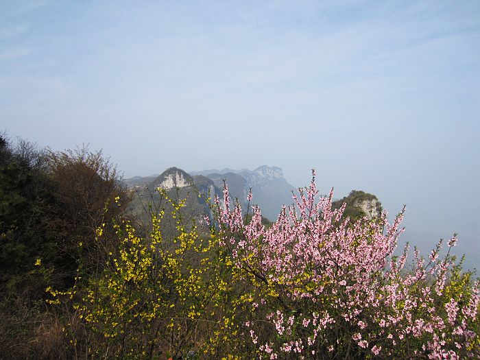 neo_img_img_0281.jpg