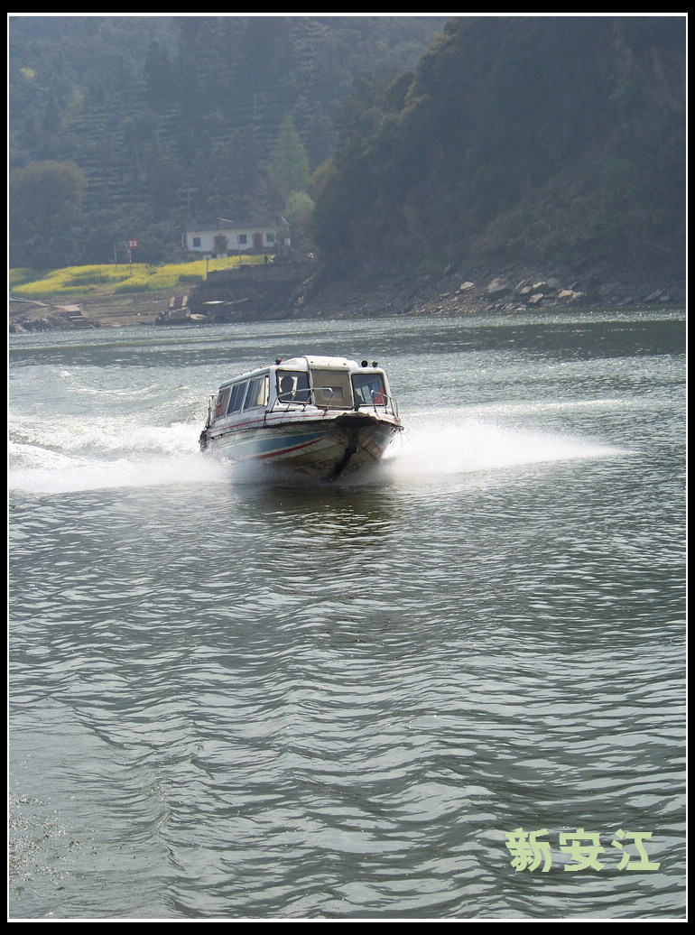 20110404e̶ (11).jpg