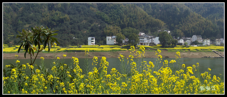 20110404iѦ̶ (40).jpg