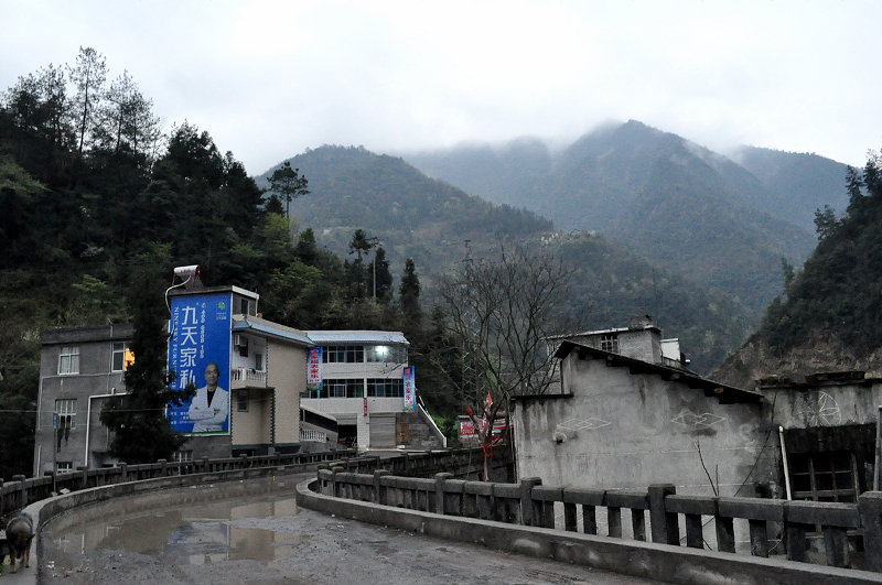 dsc_0047.jpg