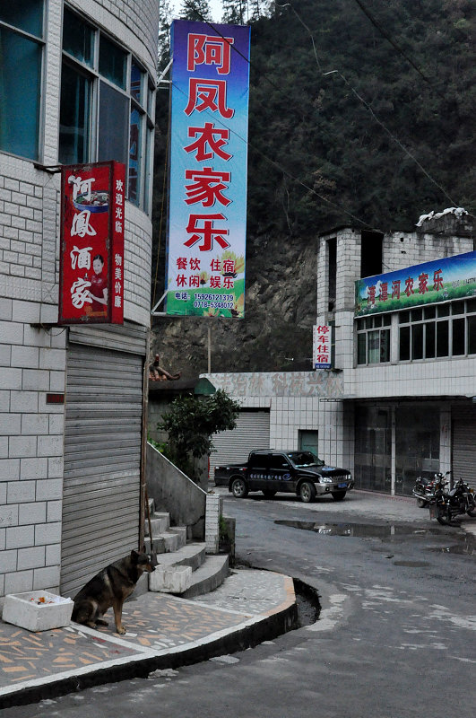 dsc_0036.jpg