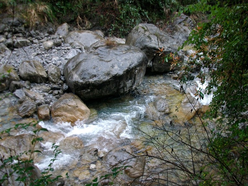 alim5185.jpg