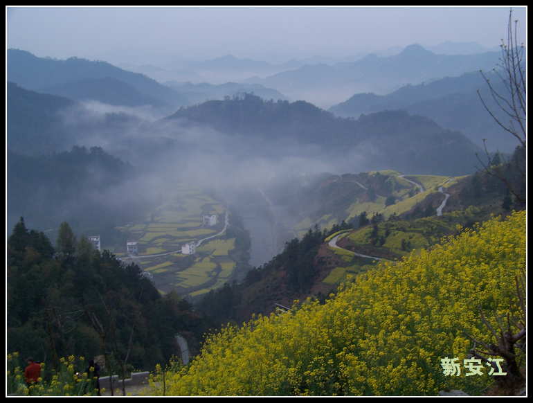 20110405aʯ̶ (14).jpg