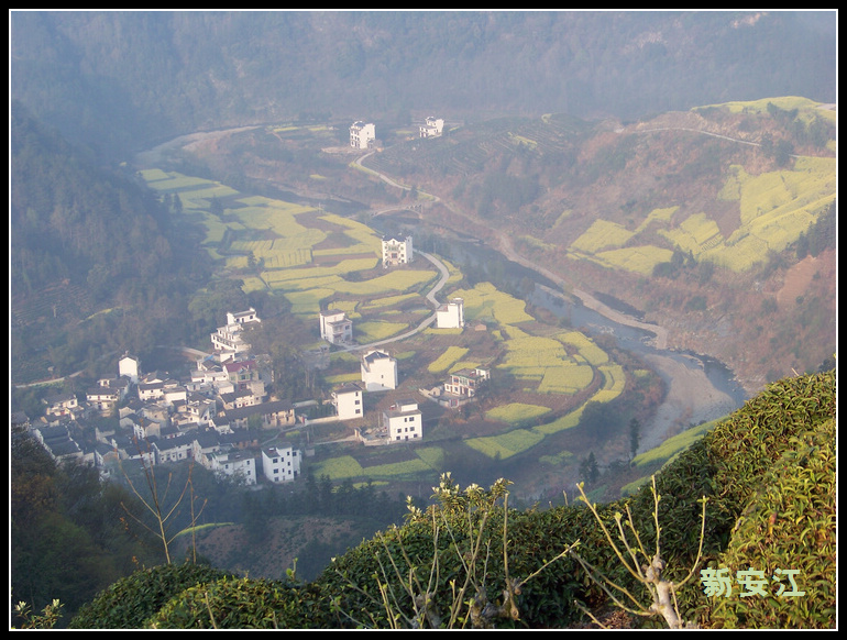 20110405bʯ̶ (72)s.jpg