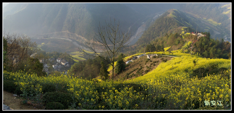 20110405bʯ̶ (64)x.jpg