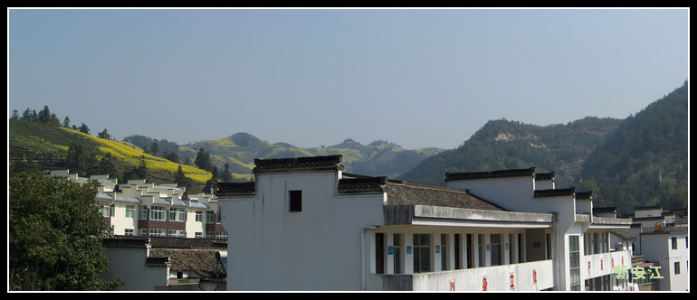20110405gʯ̶ѧУ (21).jpg