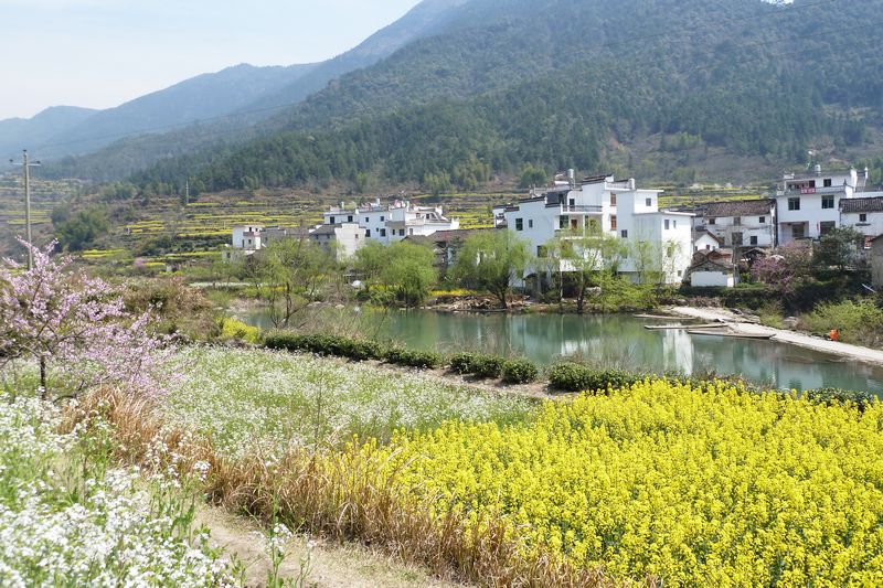 p1010186.jpg