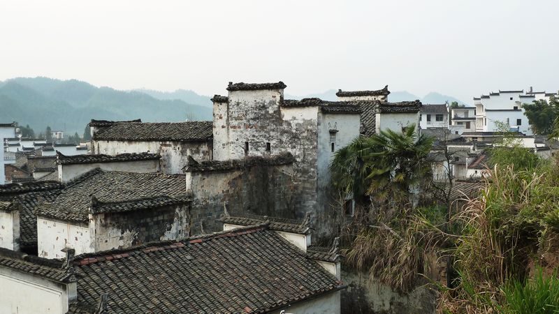 p1010412.jpg