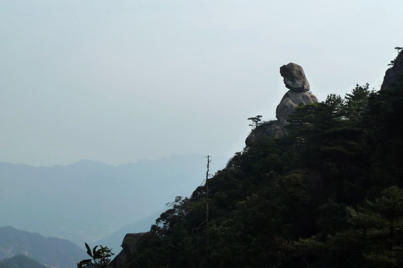 p1010464.jpg