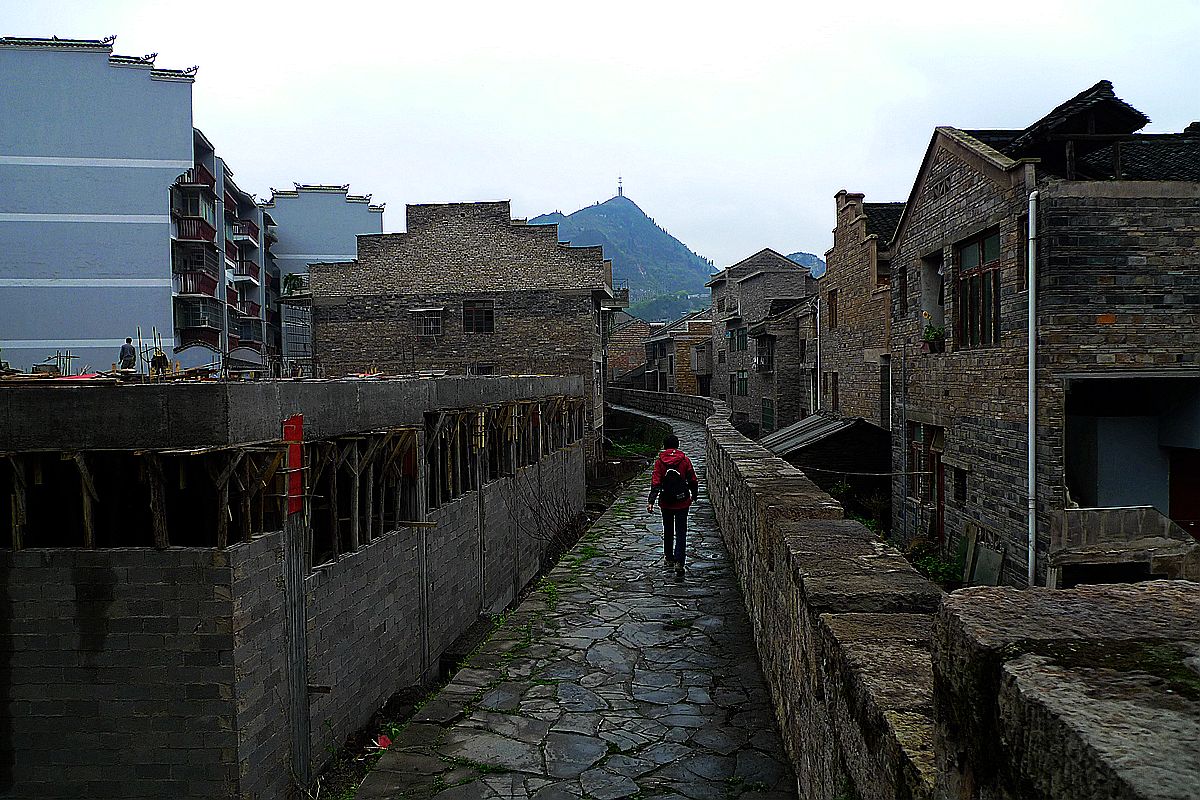 p1040454.jpg