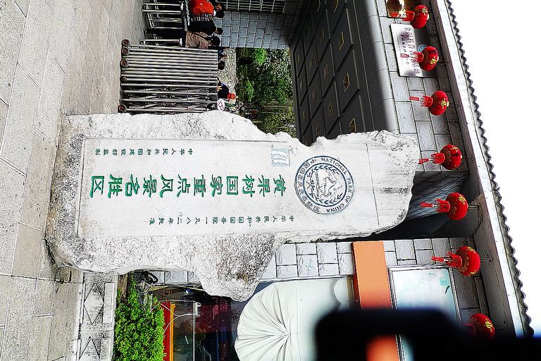 p1040644.jpg