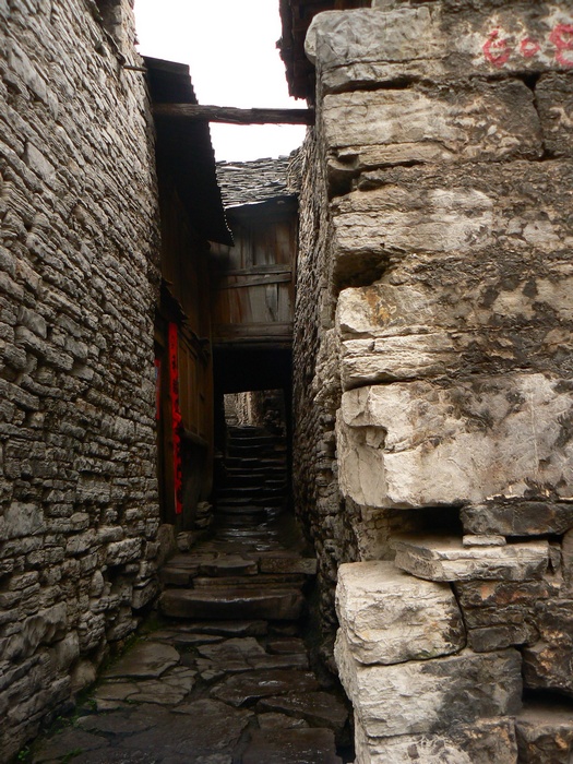p1260974.jpg