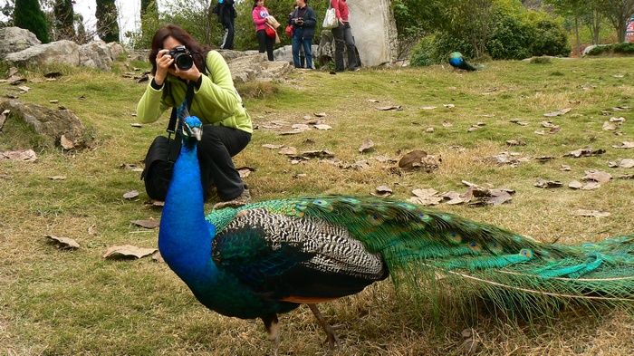 p1260995.jpg