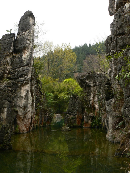 p1270003.jpg