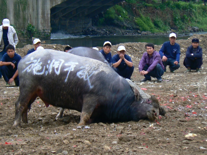 p1270142.jpg