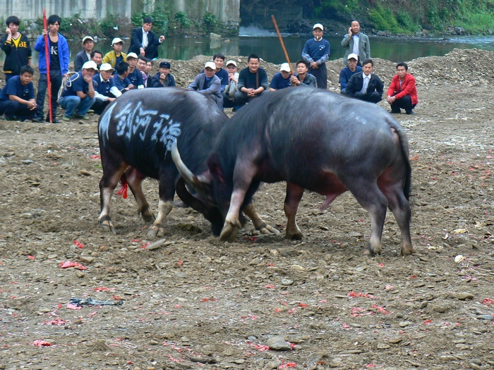 p1270146.jpg
