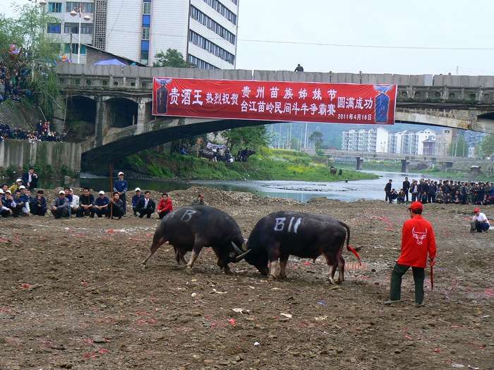 p1270147.jpg