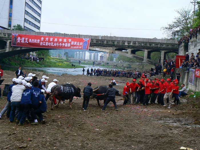 p1270148.jpg