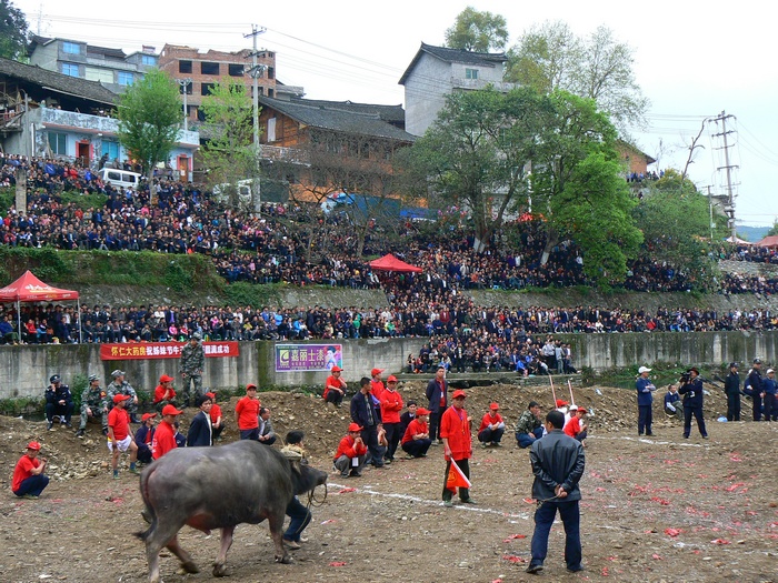 p1270152.jpg