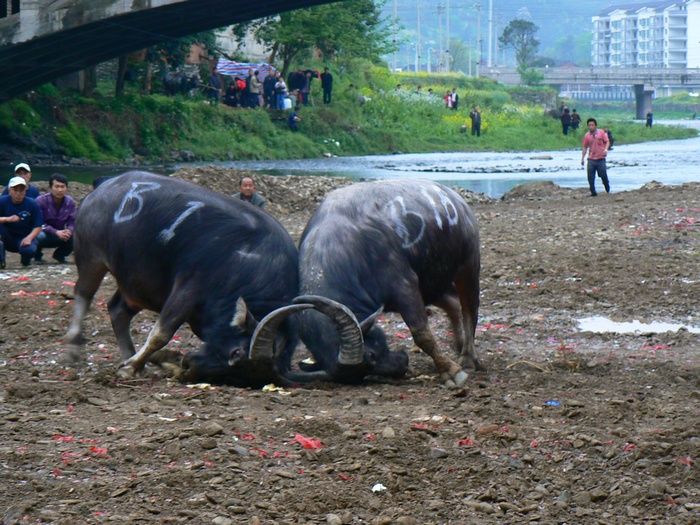 p1270140.jpg
