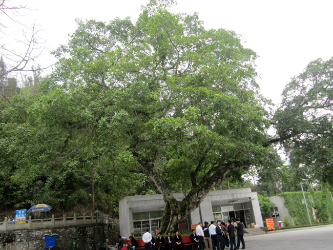 img_9832.jpg