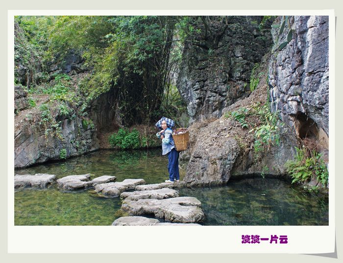 dsc07800.jpg