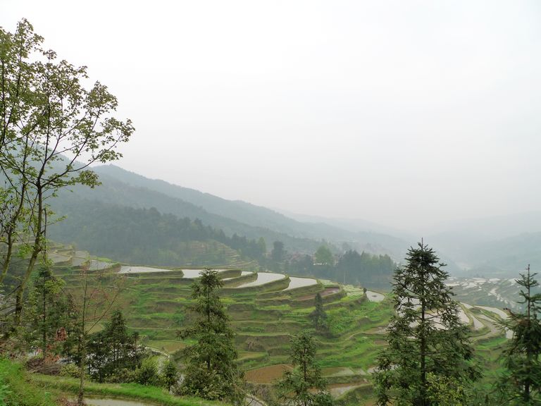 p1050130.jpg