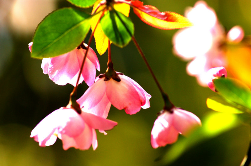 dsc01004.jpg