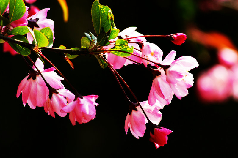 dsc01143.jpg