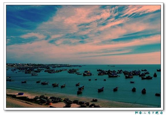 dsc_0305(  o  ).jpg