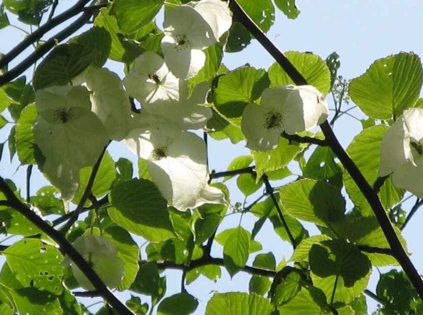 ӻ03.jpg