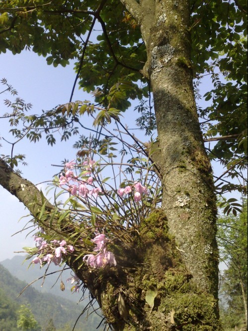 ӻ05.jpg
