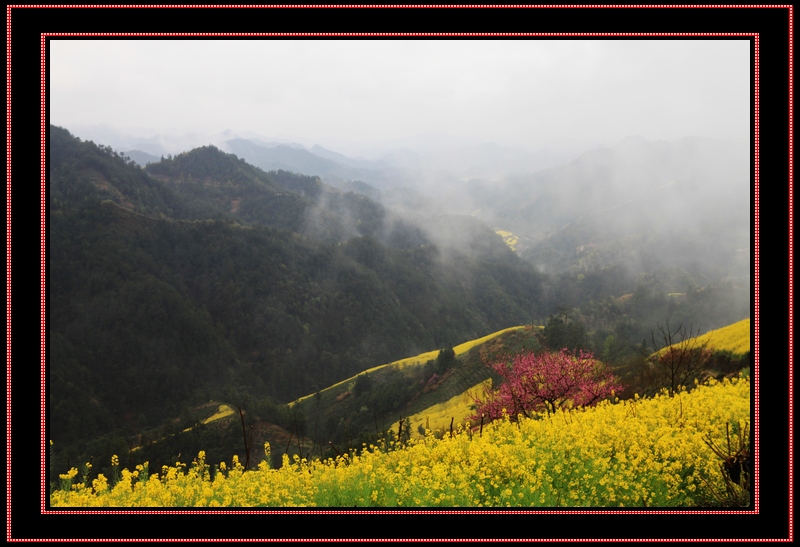 img_01455 (184).jpg