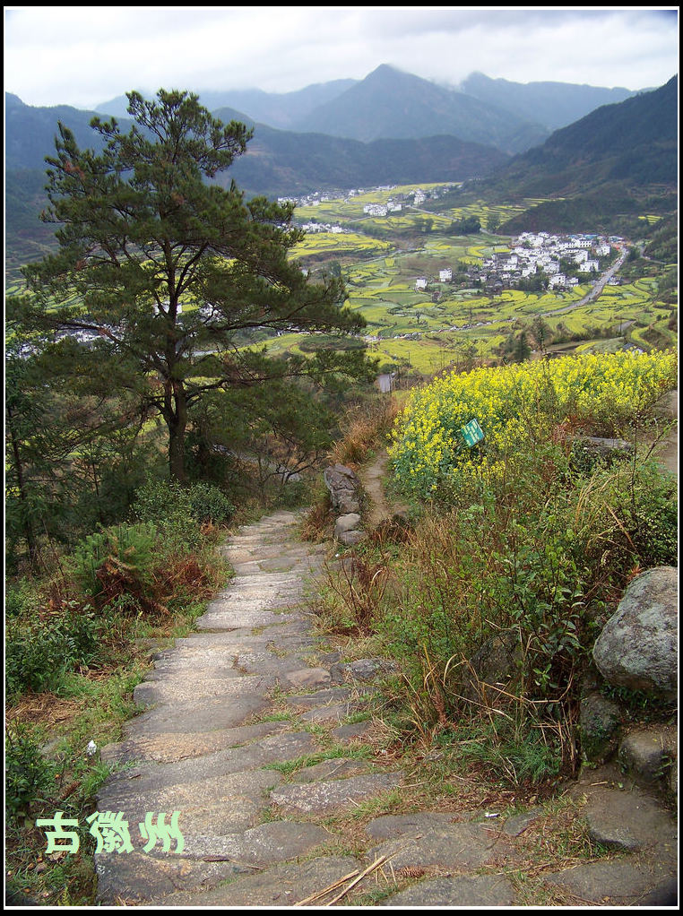 20110403bԴͲ˻ (24).jpg