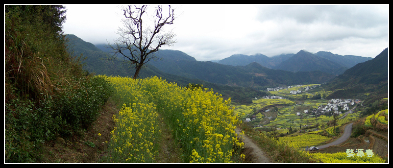 20110403dԴͲ˻ (15).jpg