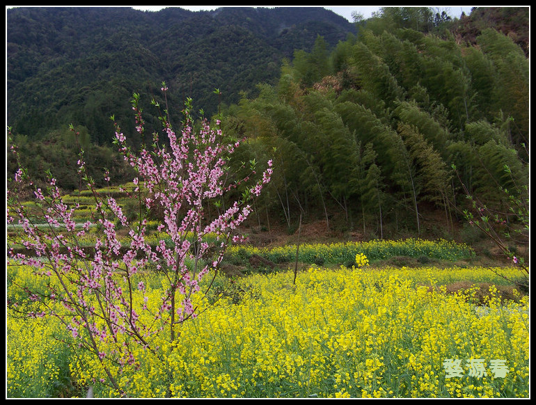 20110403eԴͲ˻ (22).jpg