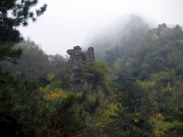 С p5088245.jpg