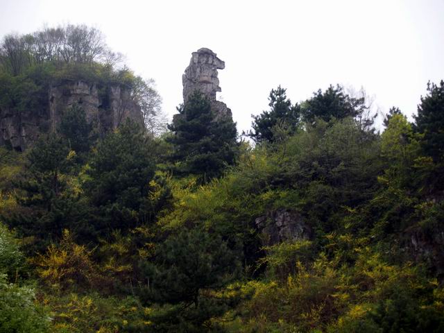 С p5088248.jpg