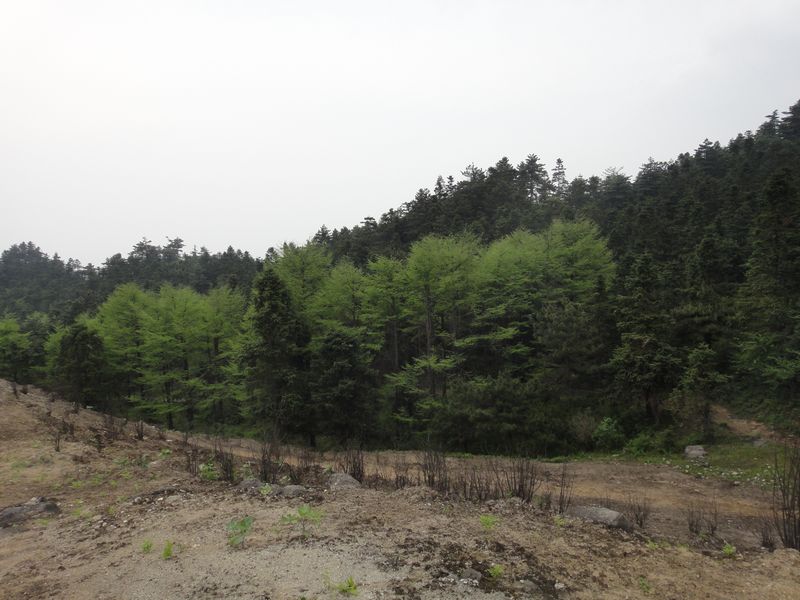 dsc04492.jpg