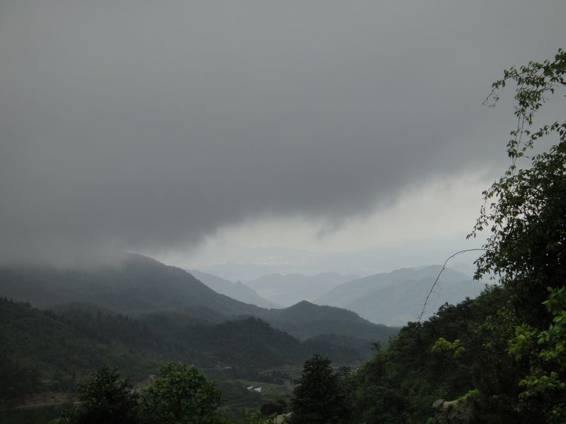 dsc04503.jpg