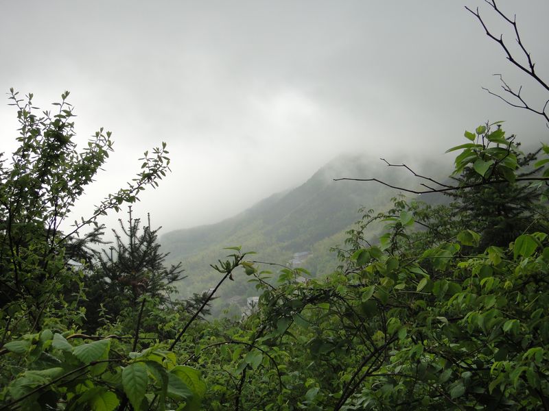 dsc04504.jpg
