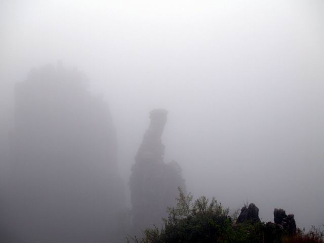 С p5088269.jpg