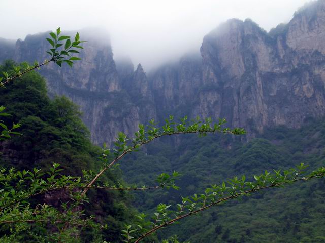 С p5088296.jpg