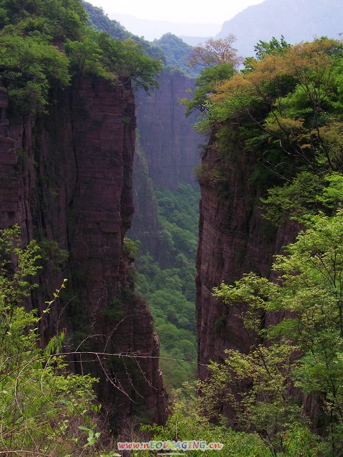 100_9272-1.jpg