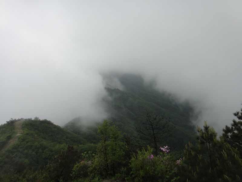 dsc04524.jpg