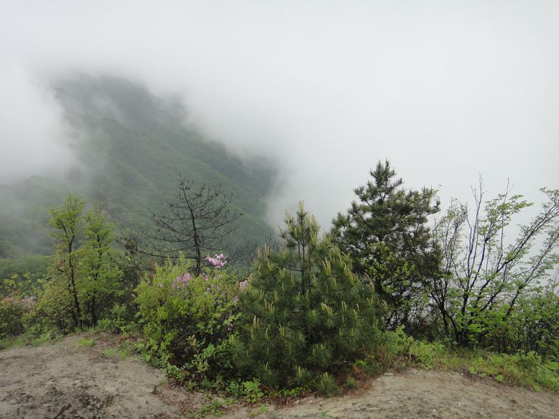 dsc04525.jpg