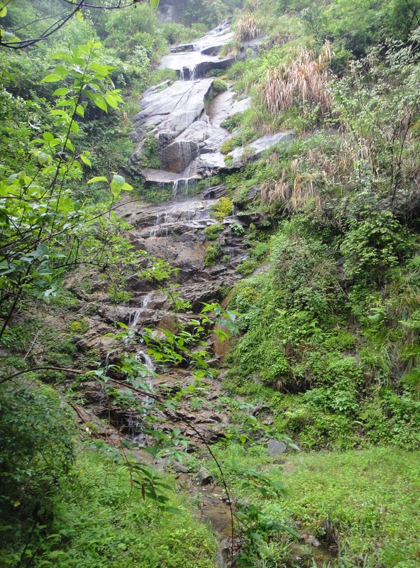 dsc04533.jpg