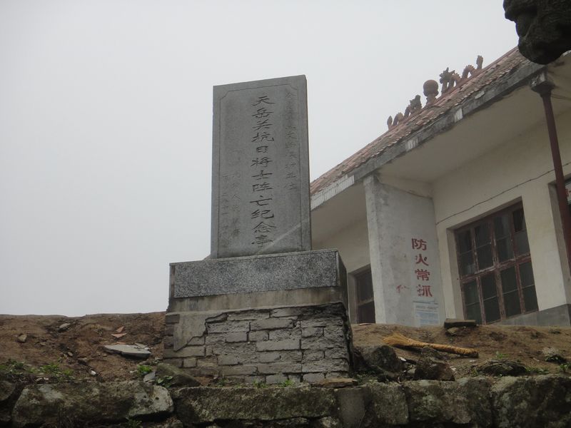 dsc04539.jpg