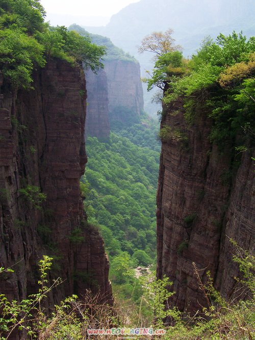 100_9274-1.jpg